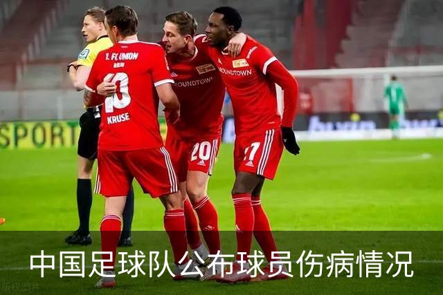 中国足球队公布球员伤病情况