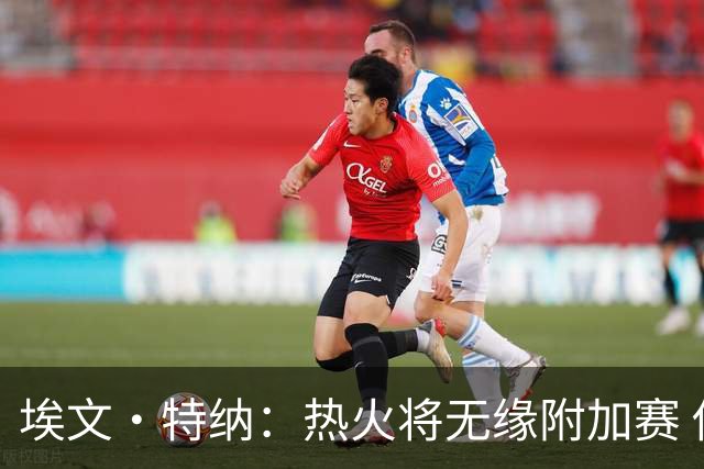 埃文·特纳：热火将无缘附加赛 他们为得到字母哥付出太多了
