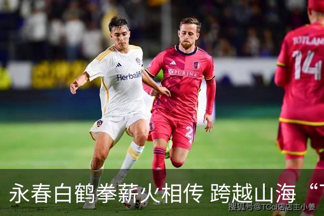 永春白鹤拳薪火相传 跨越山海“飞”向世界