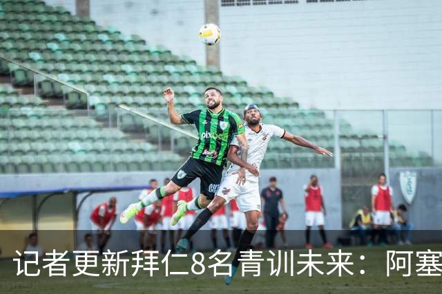 记者更新拜仁8名青训未来：阿塞科和A·伊布可能补充一线队